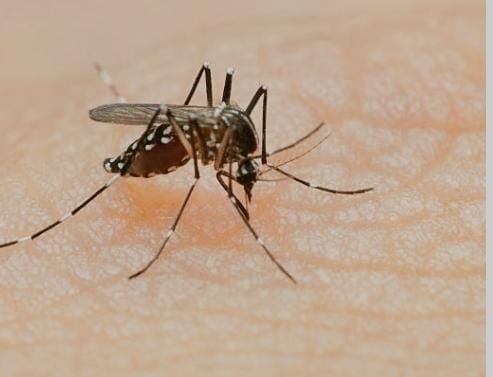 The Weekend Leader - Family of Zika virus patient in UP test negative